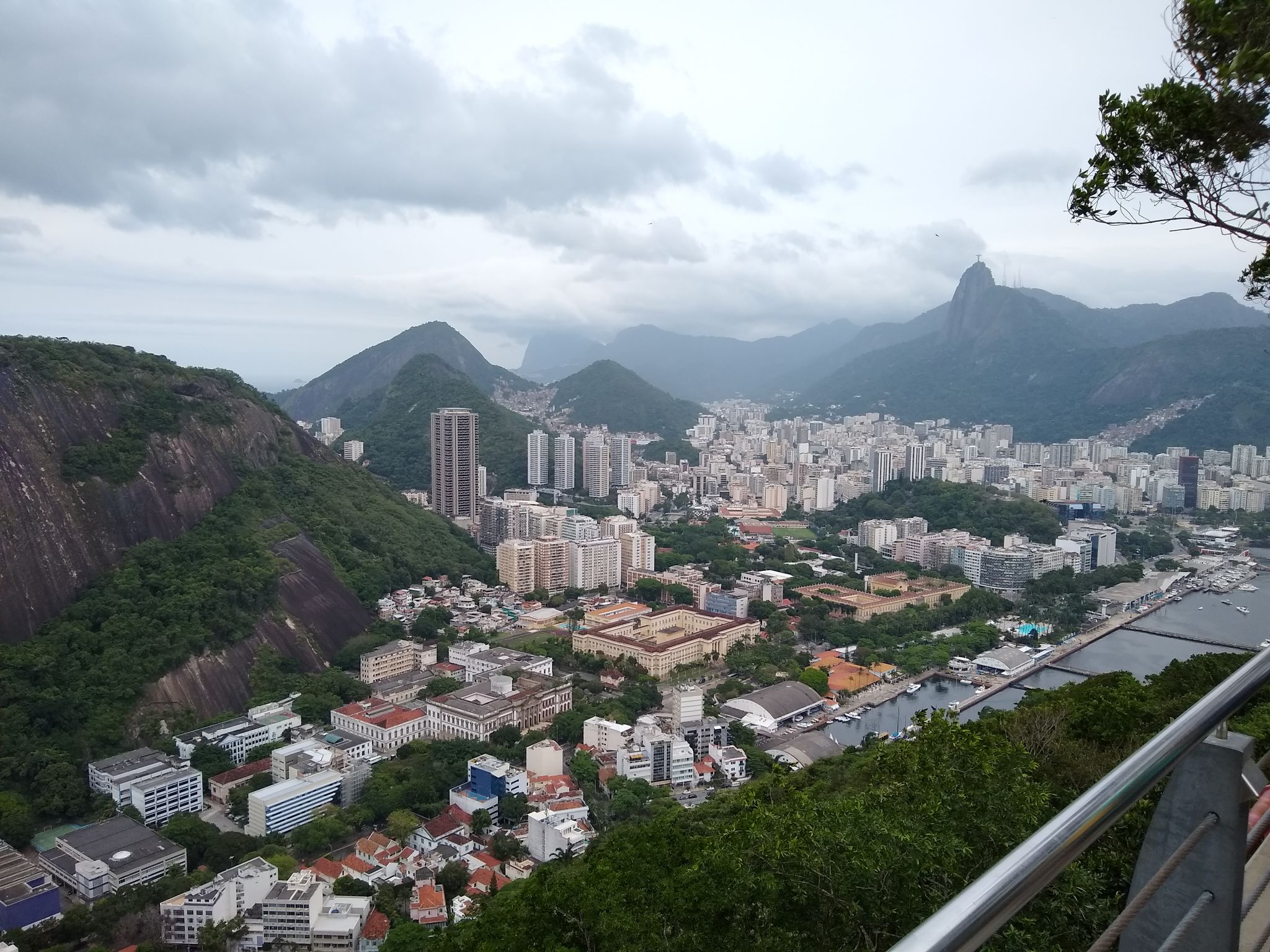 rio de janeiro pragas