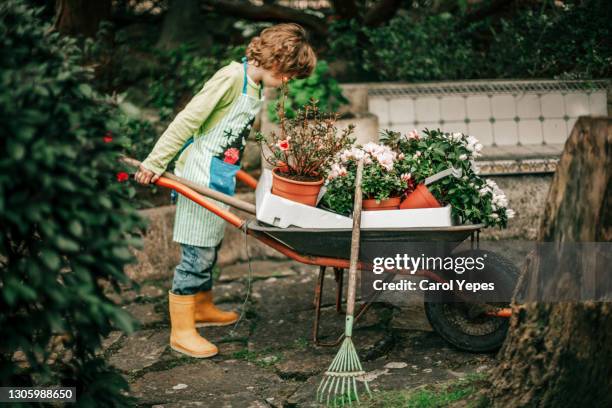 side view boy in rubber boots pushing wheelbarrow - carrinho de mão equipamento de jardinagem - fotografias e filmes do acervo