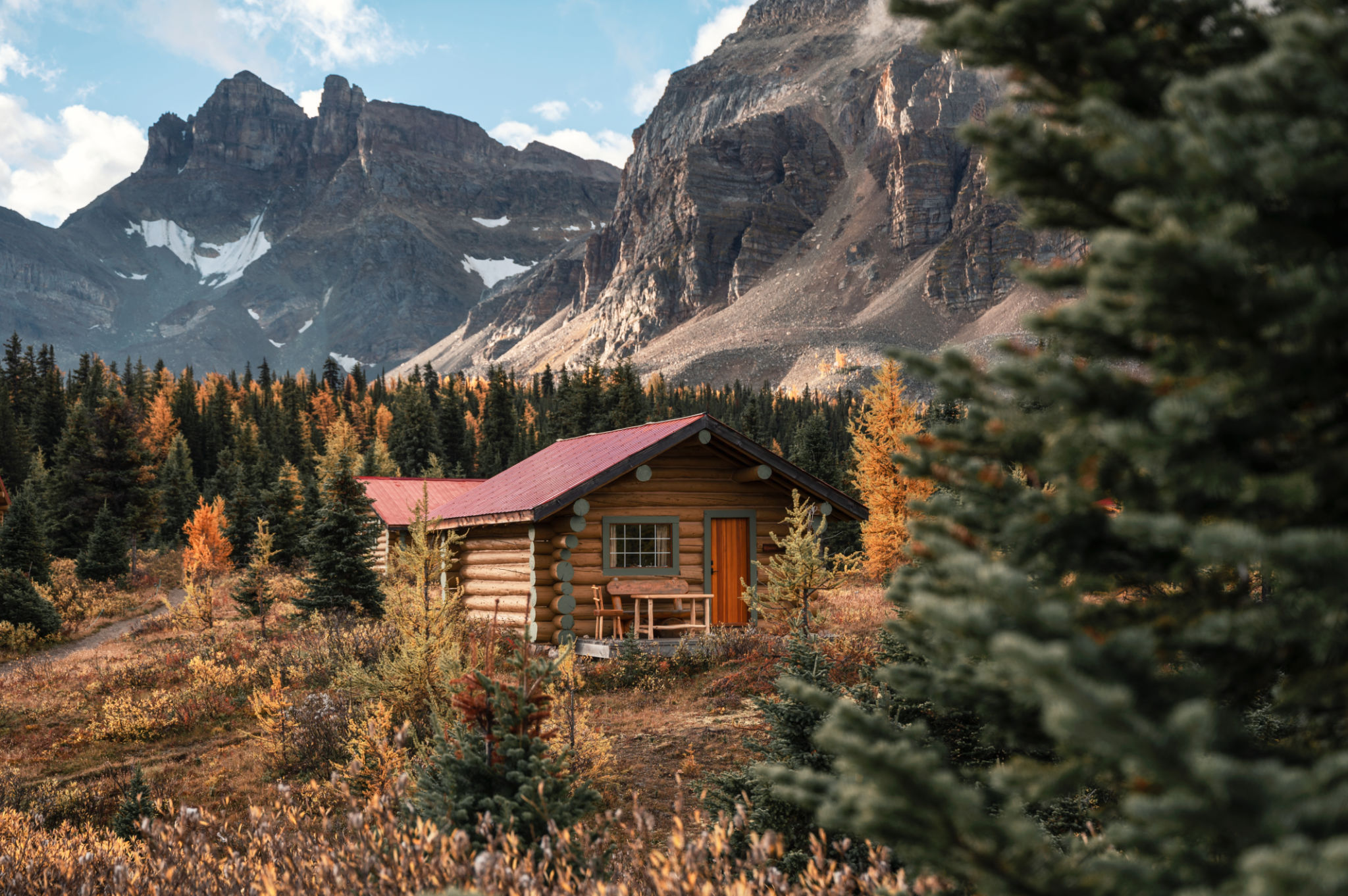 cabin woods