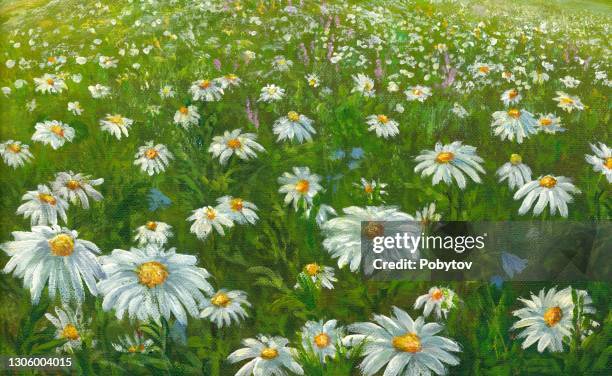 daisies in a summer meadow - oil painting flowers stock illustrations