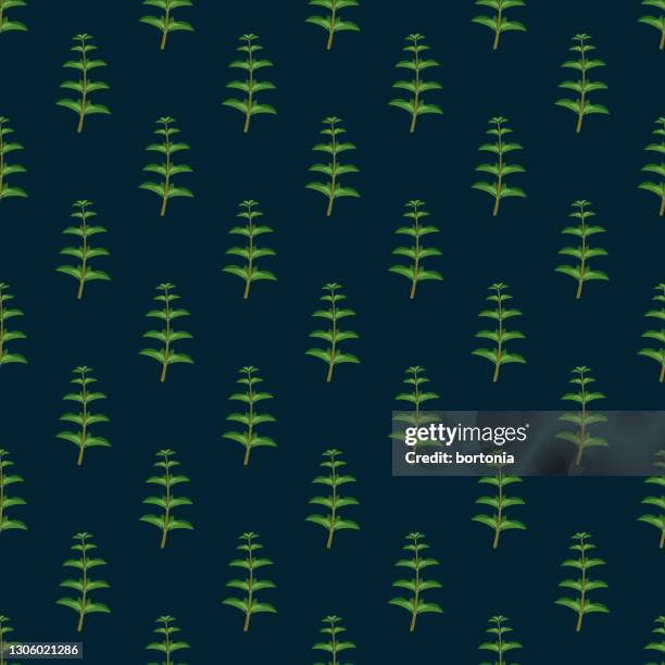 oregano herb pattern - oregano stock illustrations