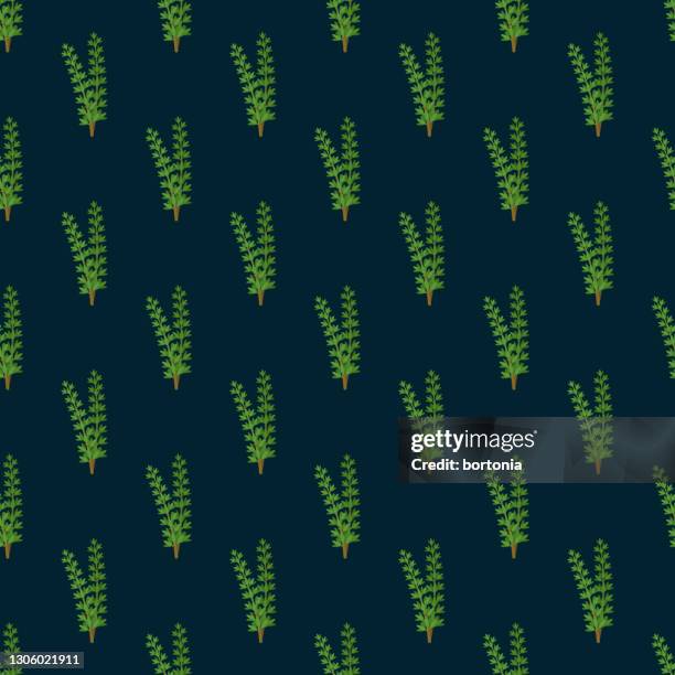 thyme herb pattern - thyme stock illustrations