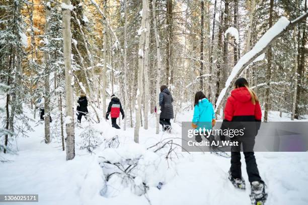 group of students learning to snowshoe in a school - snowshoeing stock pictures, royalty-free photos & images