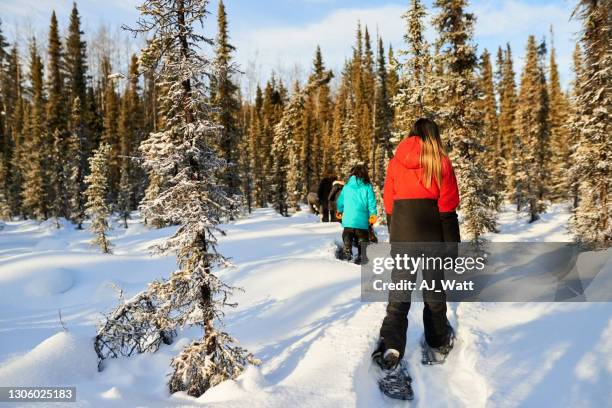 kinder lernen schneeschuh - schneeschuh stock-fotos und bilder