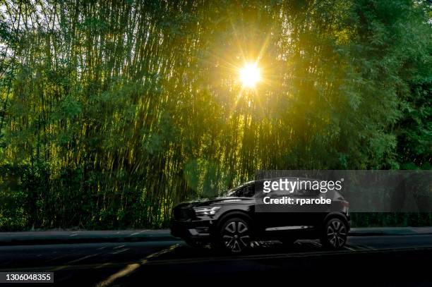 a black toyota car in the late afternoon - toyota motor stock pictures, royalty-free photos & images