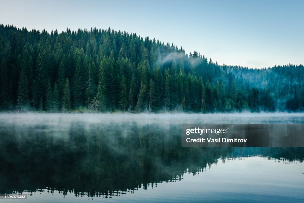 Morgondimma över en vacker sjö omgiven av tallskogslagerfoto