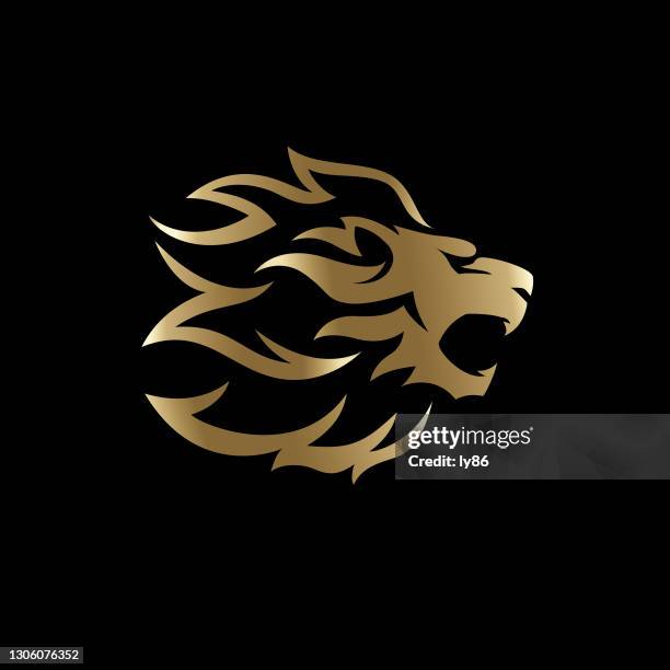 lion head - roaring stock illustrations