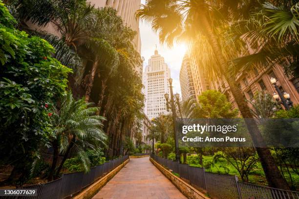 financial district in sao paulo, brazil. - são paulo state stock pictures, royalty-free photos & images