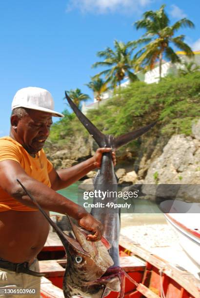Small Fish Sword 371 Fish Sword Stock Photos, High-Res Pictures, and Images - Getty Images