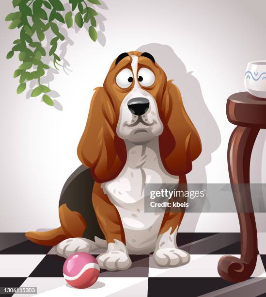 ilustraciones, imágenes clip art, dibujos animados e iconos de stock de lindo perro en casa - basset hound