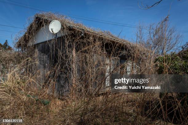 Weeds and vines grow around abandoned house on March 09, 2021 in Okuma, Japan. In ceremonies that are expected to be scaled back because of the...