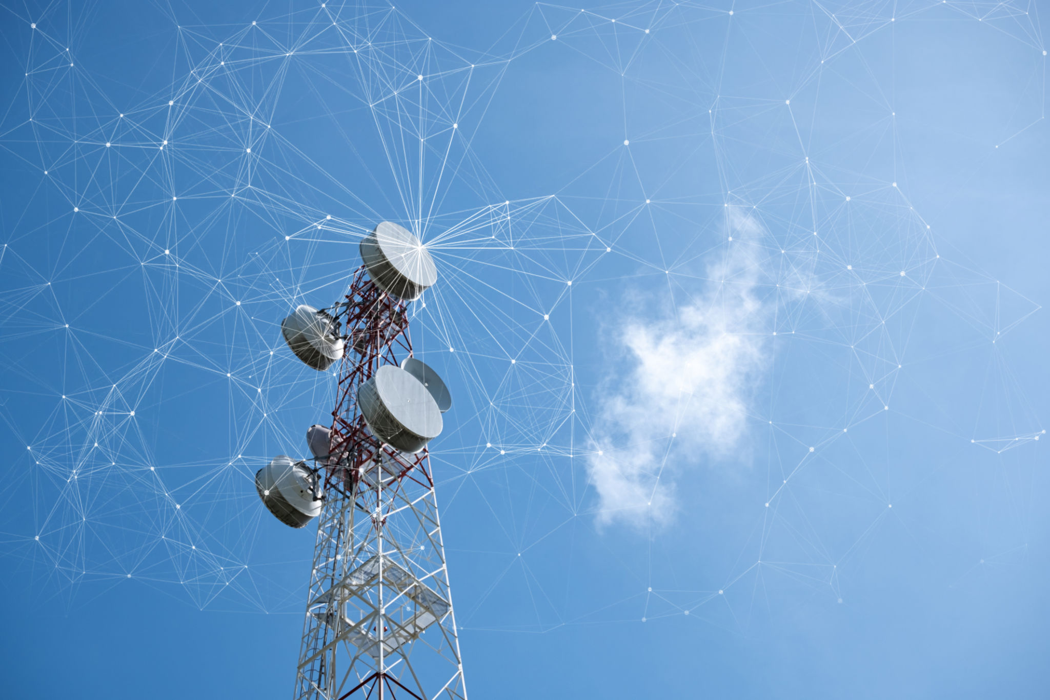 business telecom provider