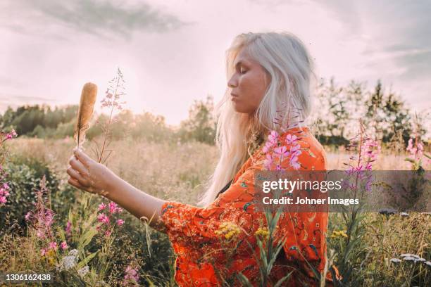 young woman with feather in meadow - feather stockfoto's en -beelden