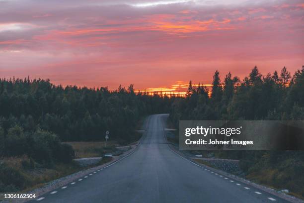 road in forest at sunset - forest scandinavia stock-fotos und bilder