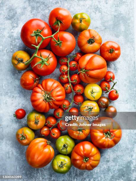 view of colorful tomatoes - tomate fotograf�ías e imágenes de stock