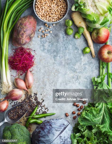 high angle view of vegetables - kål bildbanksfoton och bilder