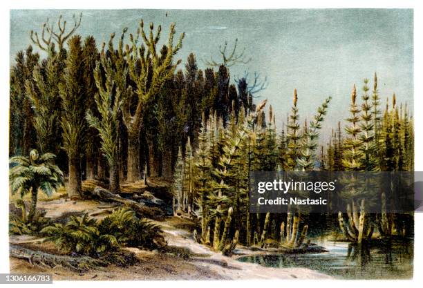 landscape of the coal period. view of the prehistoric landscape of the karbon with trees and ferns at a lake - mesozoic era stock illustrations