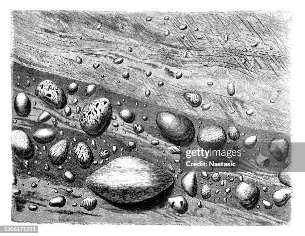 block leading deposits of the talchir layers from the northeastern part of the indian peninsula, with blocks of tourmaline granite, gneiss, hornblende schist and quartzite - geology tools stock illustrations