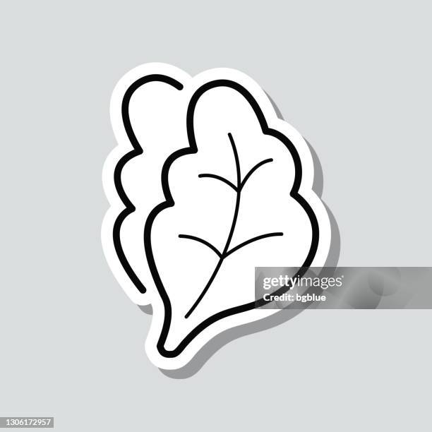 stockillustraties, clipart, cartoons en iconen met sla. de sticker van het pictogram op grijze achtergrond - leaf lettuce