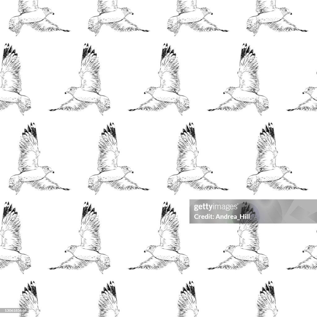 Seagull Flying Seamless Pattern Ink Drawing. EPS10 Vector Illustration