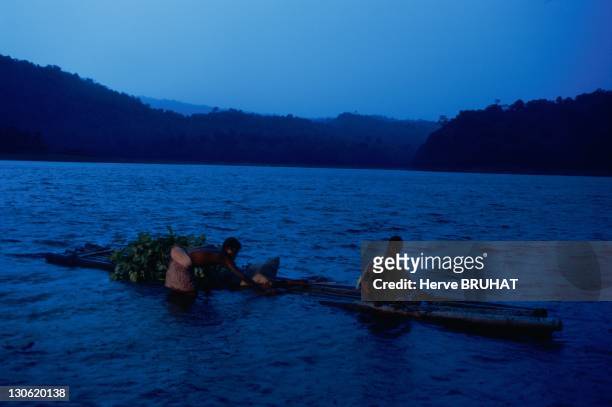 After his working day, the native couple brings back his harvest to the plain, rowing on the river. In destination, it will be bought by wholesalers....