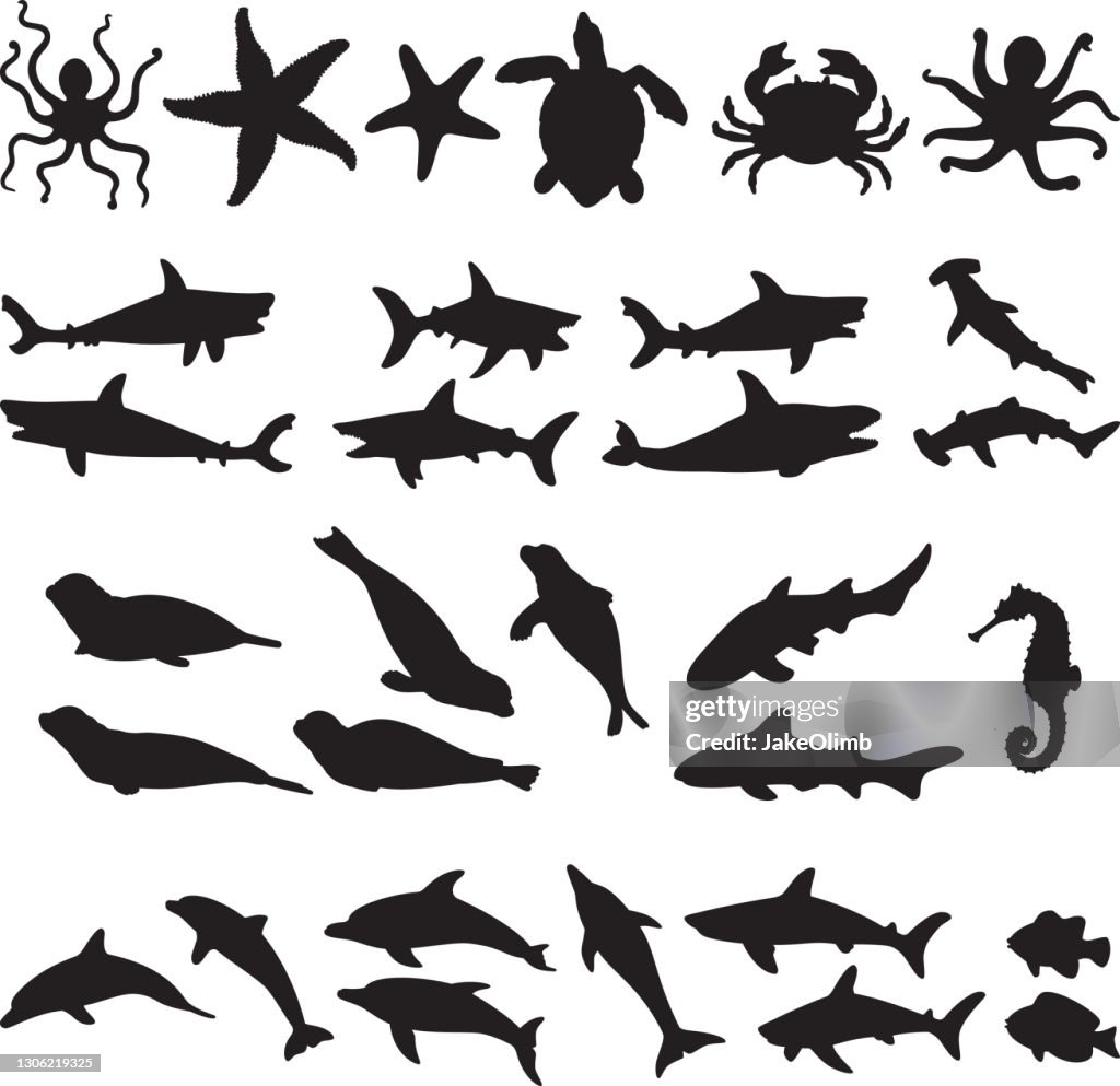 Meer Tier Silhouetten