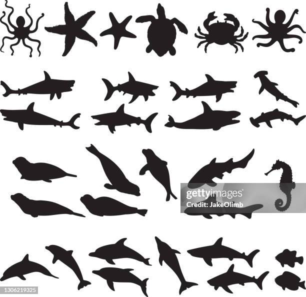 ilustraciones, imágenes clip art, dibujos animados e iconos de stock de siluetas de animales marinos - aquatic organism