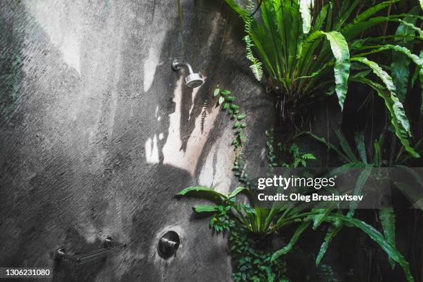 tropical outside stylish shower room decorated with green natural jungle plants - bali spa stock pictures, royalty-free photos & images