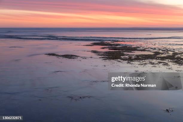 morning light - mornington peninsula stockfoto's en -beelden