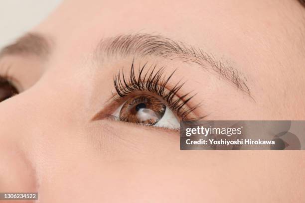 close-up of extended eyelashes - eyelash photos et images de collection