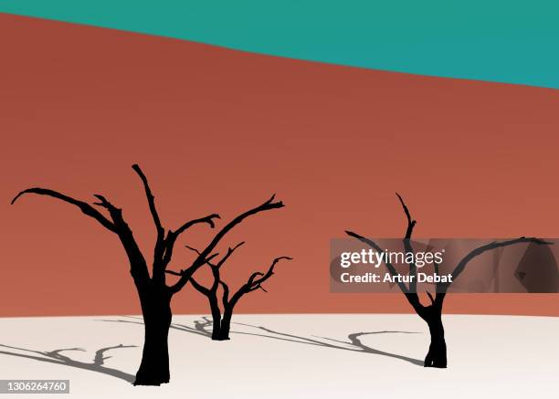 illustration of the death trees with the sand dunes of namibia desert. - dead vlei stockfoto's en -beelden