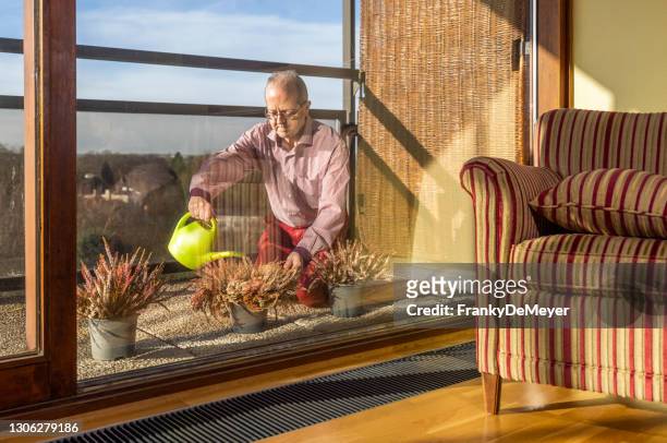 outside on his urban balcony, a middle aged senior caucasian man waters plants and flowers of his apartment - aquatic plant stock pictures, royalty-free photos & images