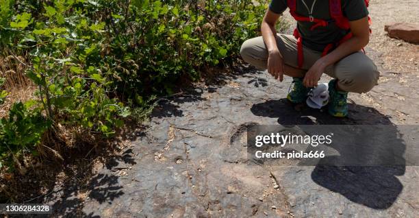 impronta dinosauro: paleontologa donna al lavoro nel sud-ovest usa - dino feet foto e immagini stock
