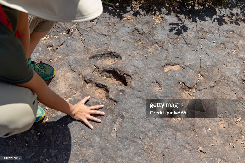 Dinosaur footprint: woman paleontologist at work in South West USA