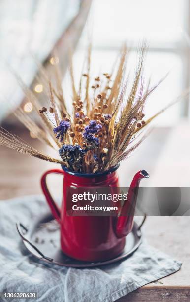 bouquet of dry grass in red teapot. window background - village home indoor stock-fotos und bilder