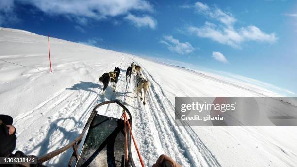 husky dogs pulling sledge over snowy landscape. - husky sled stock pictures, royalty-free photos & images