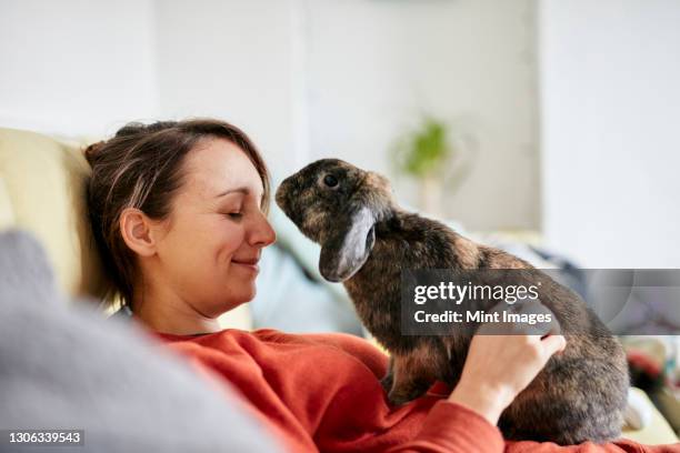 pet house rabbit reaching towards woman with eyes closed on sofa - rabbit fotografías e imágenes de stock