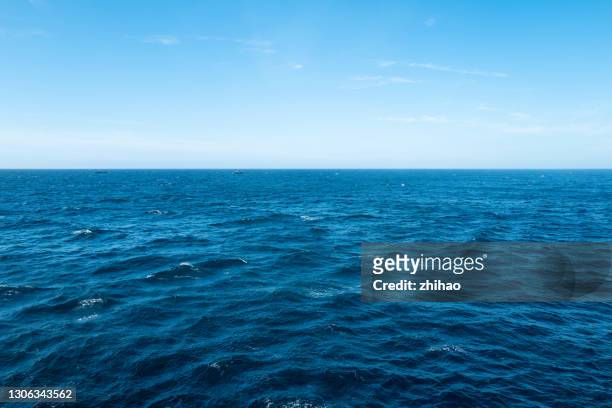 the sea on a sunny day - sea level 個照片及圖片檔