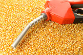 Corn Made Biofuel