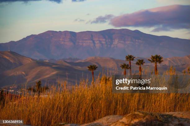 topatopa mountains view - ventura stock pictures, royalty-free photos & images