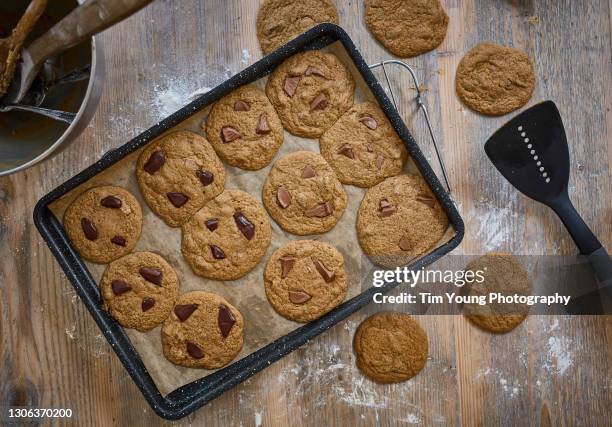 freshly baked choc chip cookies - baking sheet fotografías e imágenes de stock