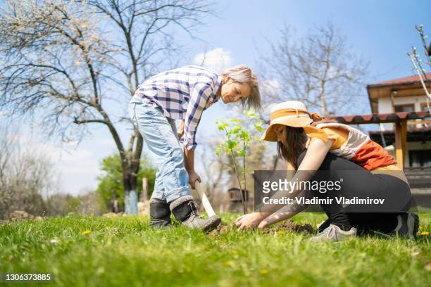 lavoro primaverile e in giardino - family planting tree foto e immagini stock