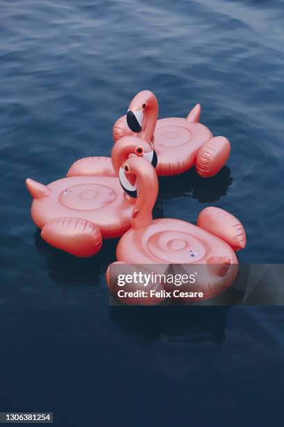 vertical shot of three inflatable flamingos floating on water. - sea water bird fotografías e imágenes de stock