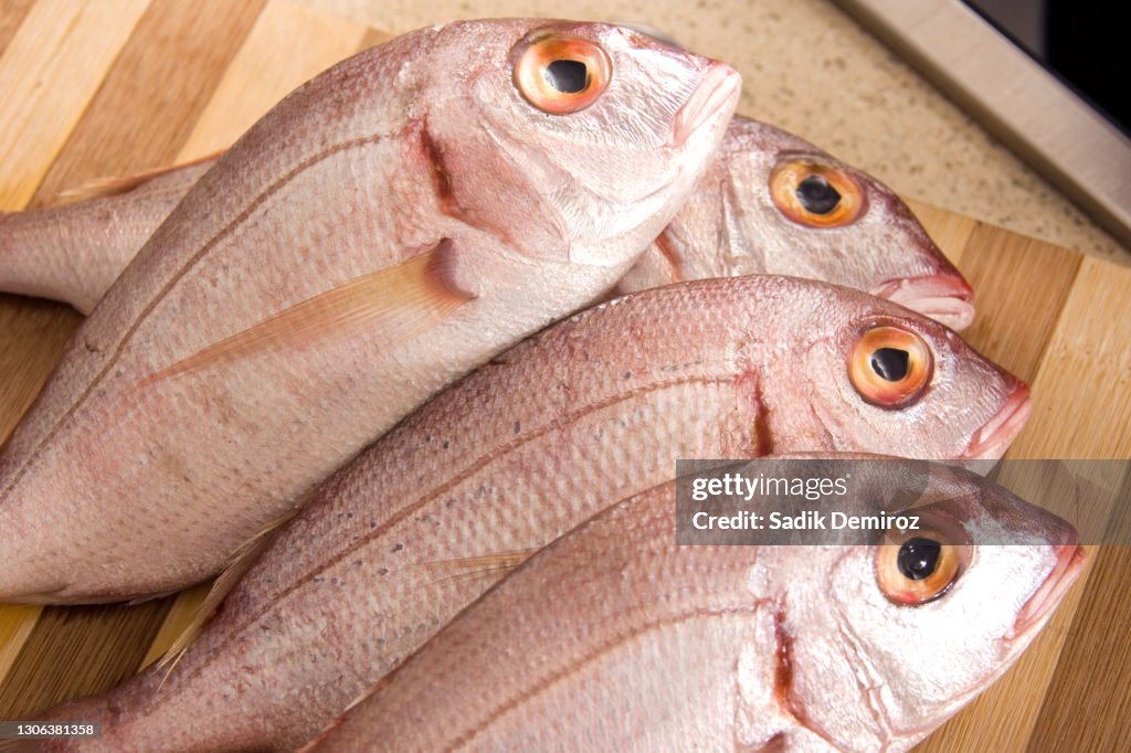 Close up group of mediterranean fish on kitchen counter