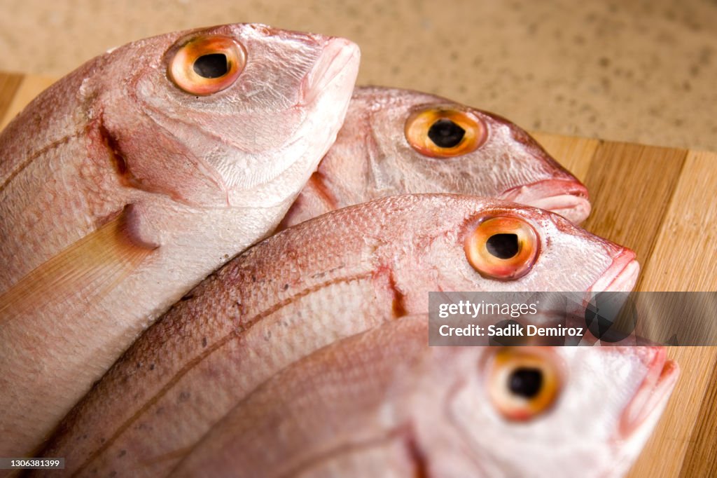 Close up group of mediterranean fish on kitchen counter