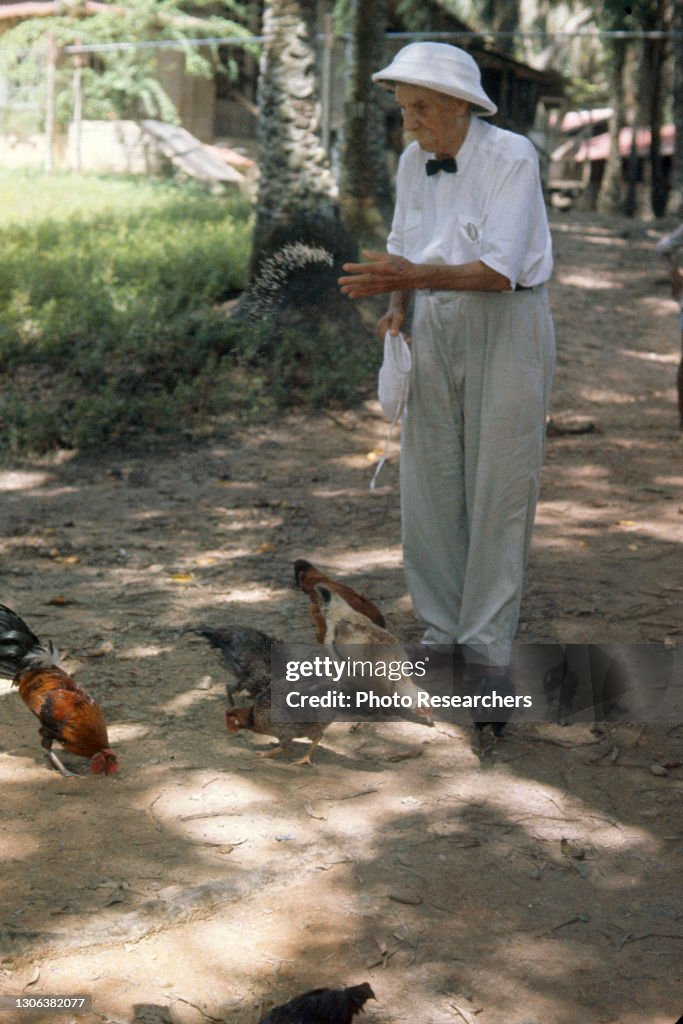 Dr Albert Schweitzer Feeds Chickens