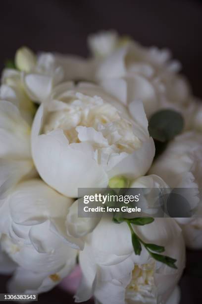 beautiful white bouquet of peonies with freesias - peony bouquet stock pictures, royalty-free photos & images