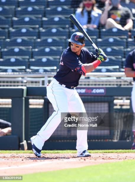 Cesar Hernandez of the Cleveland Indians gets ready in the batters box against the Los Angeles Angels during the first inning of a spring training...