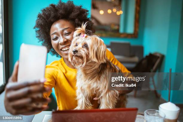 de gelukkige afrikaans-amerikaanse vrouw met haar hond in een koffieshop neemt een selfie. - animal selfies stockfoto's en -beelden
