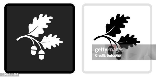 acorn icon on  black button with white rollover - acorns stock illustrations